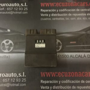 131000 1190 110001190 8h8 denso disponemos de la posibilidad de realizar clonaciones y codificaciones , alquiler de centralitas reparacion de abs airbags , cuadros, tarjetas y direcciones Copia de llaves centralita del motor / motorsteuergerät / engine control unit unidad reprogramaciones egr dpr filtro de particulas